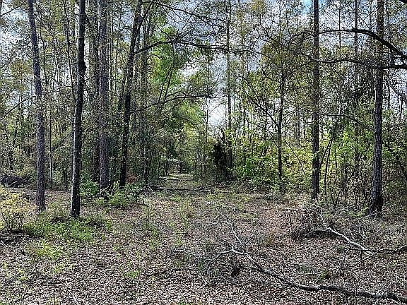 3rd image of 25 Ichetucnkee Frst SW
