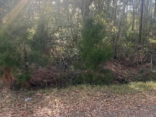 0 Mercantile Rd, Mc Clellanville, SC 29458
