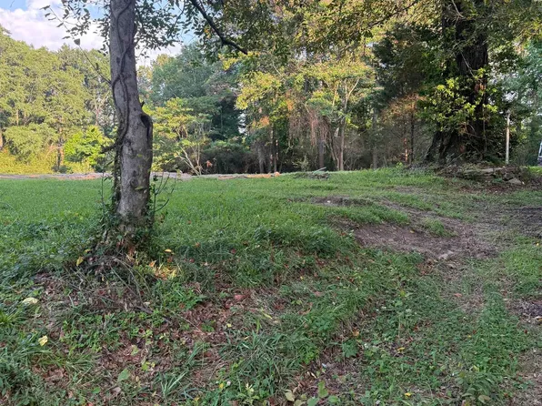 937 Morris Majestic Rd #1, Morris, AL 35116