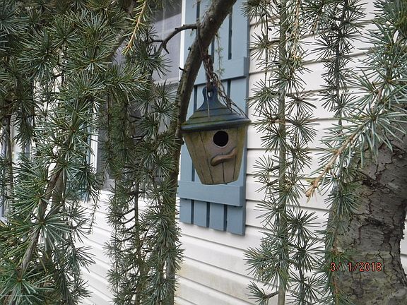 4th image of 346 Stuart Ave