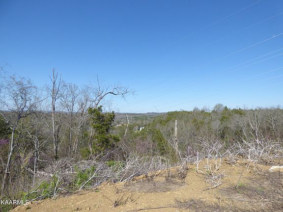 5th image of 3 Parton Hollow Rd