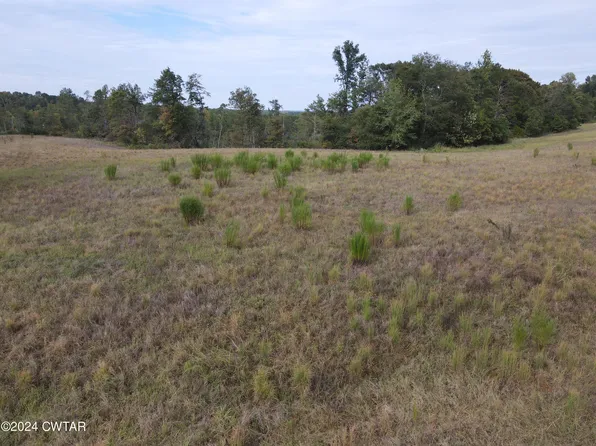 TRACT 6 State Highway 100, Decaturville, TN 38329