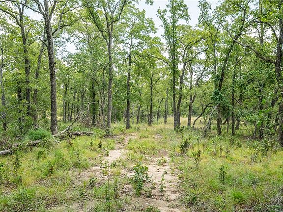 3rd image of 418D County Road 405