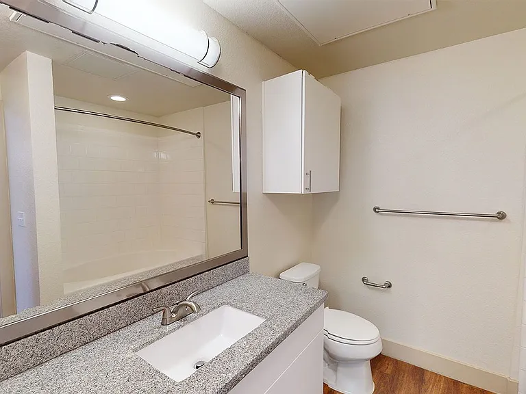 Apartment bathroom with wood-style flooring.