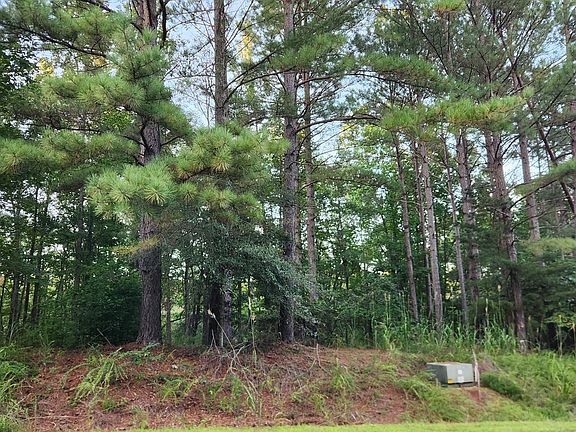 4th image of 115 Scenic Ridge Dr