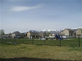 Back yard view
