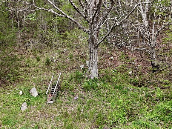 4th image of TRACT 1 Grassy Creek Rd