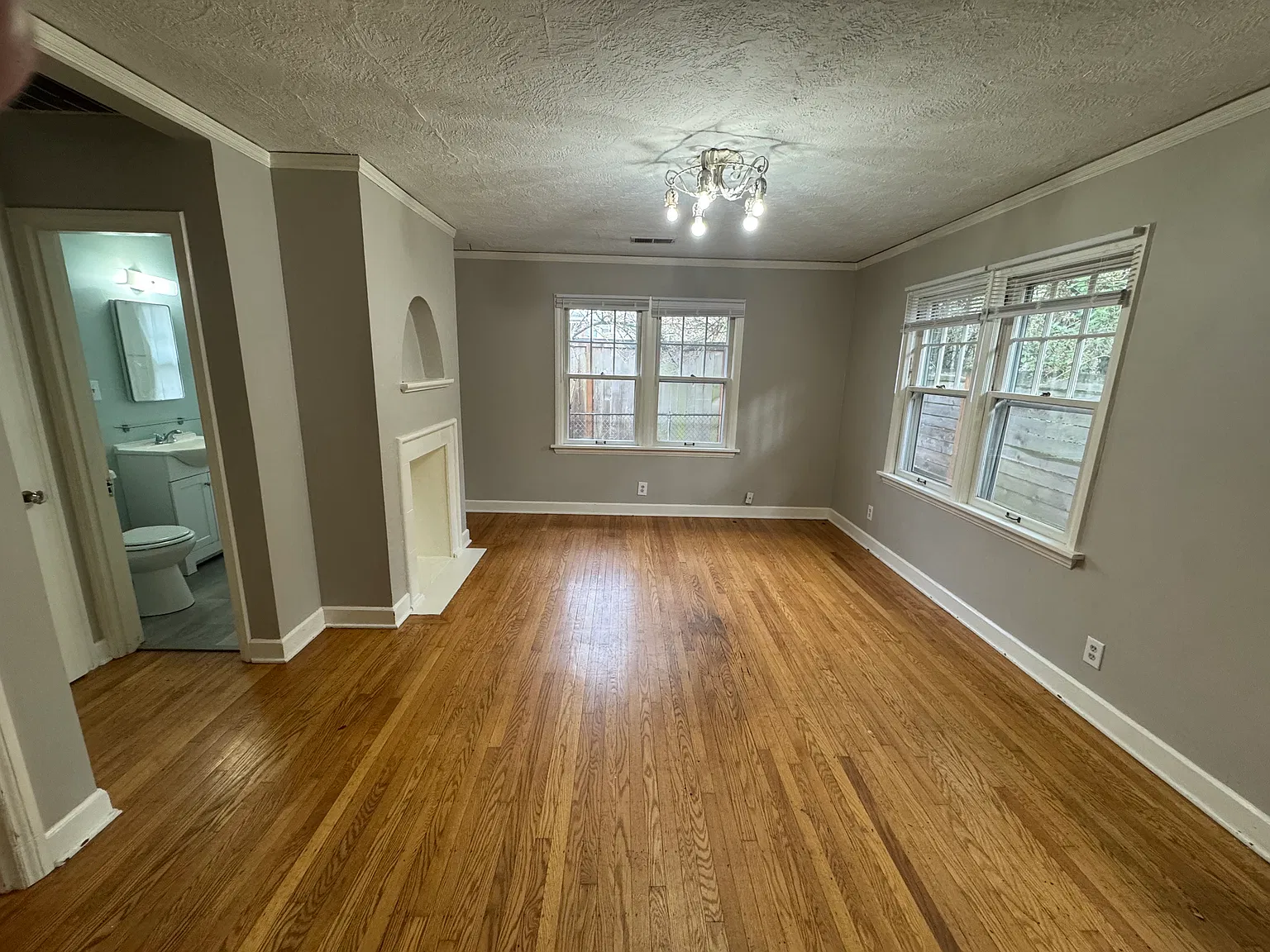 Studio, 369 sqft, $1,095 — Photo 2