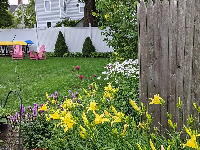 Quiet back yard