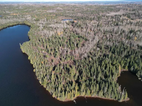 LOT 2 Fullerton Rd, Hovland, MN 55606