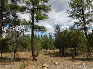 3629 Timberline Dr #25, Happy Jack, AZ 86024