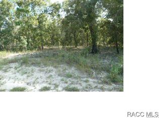 44 Matricaria Ct, Homosassa, FL 34446