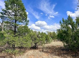 7112 Horizon Cir, Happy Jack, AZ 86024