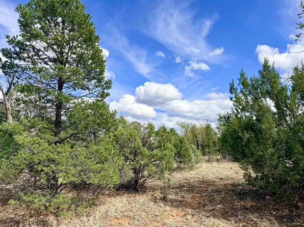 7112 Horizon Cir, Happy Jack, AZ 86024