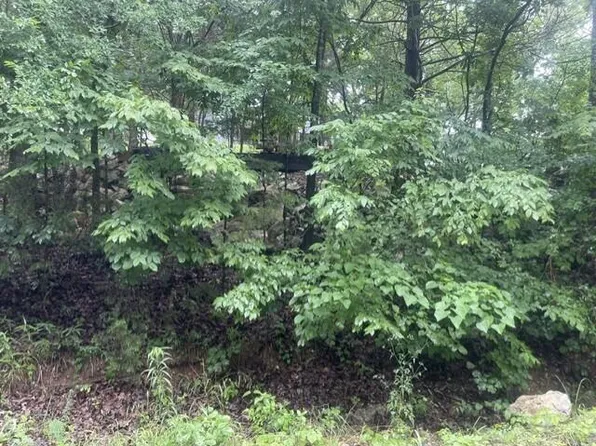 000 Sun Perch Lane, Kimberling City, MO 65686
