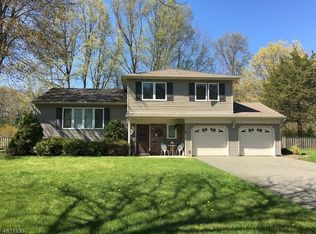 6 Sheffield St, Pine Brook, NJ 07058