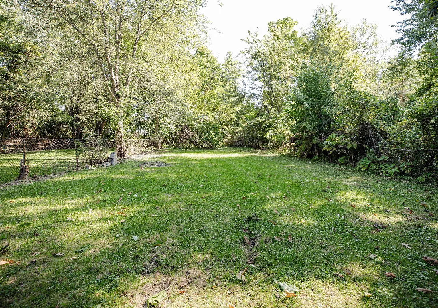 Spacious three bedroom home for rent with large back yard and two car garage on west end — Photo 4
