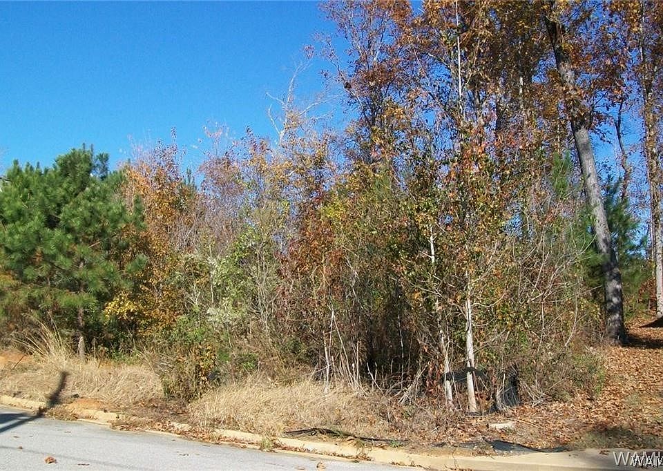 1st image of 11933 Hidden Forest Ln