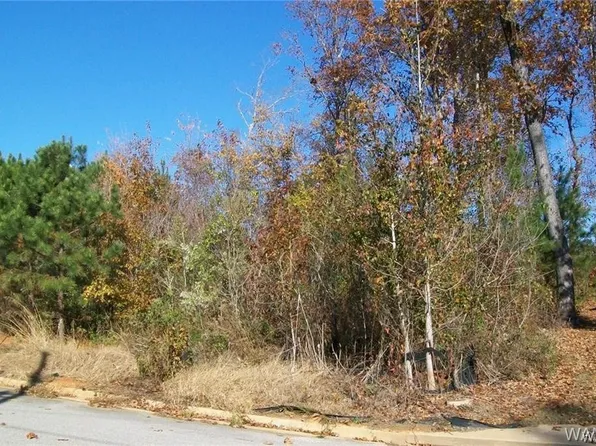 11933 Hidden Forest Ln, Northport, AL 35475