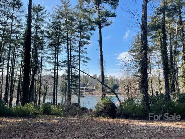 TRACT D W Blue Ridge Rd, Flat Rock, NC 28731