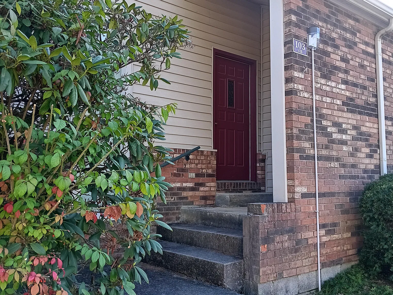 2 bed, $1,600 — Photo 1