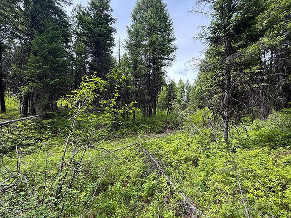 3rd image of Mule Deer Rd #Sw