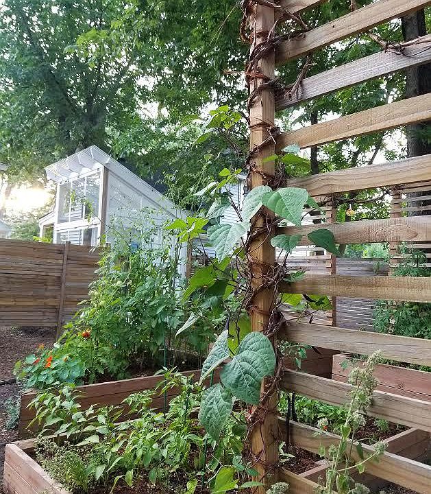 View from backyard garden looking at our little greenhouse/shed.