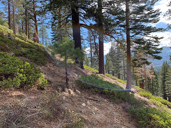 5th image of 190 Grindelwald Rd