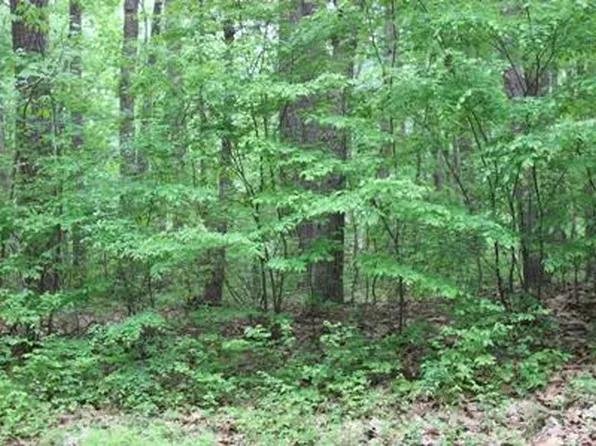 127 Raider, Greenbackville, VA 23356