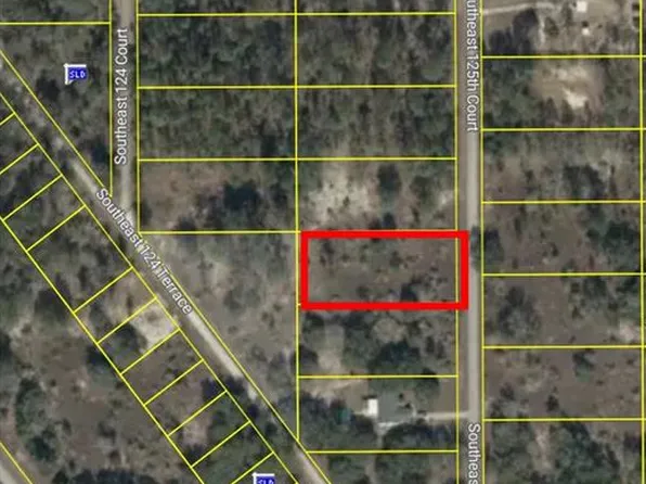 00 SE 125TH COURT LOT 9, DUNNELLON, FL 34431