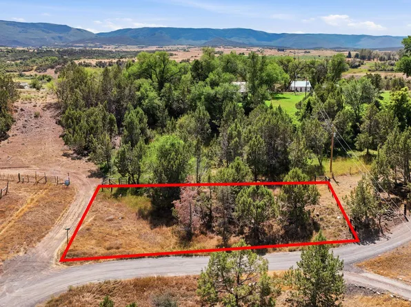 530 Glenarm Ave, Collbran, CO 81624
