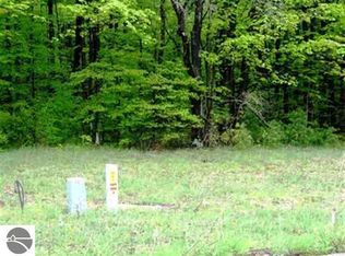 LOT 1 Stanley Creek Dr, Interlochen, MI 49643