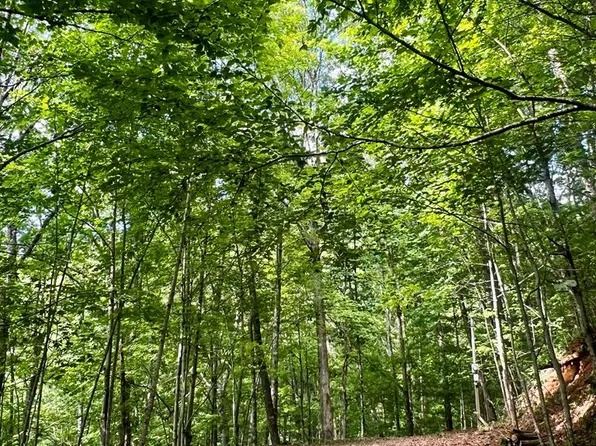 27B Overlook Dr, Robbinsville, NC 28771