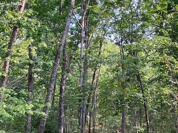 14 Simms Rd, Park Hills, MO 63601