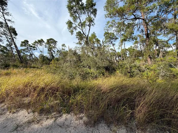 478 Darter Ave Lot 29, Sebring, FL 33870