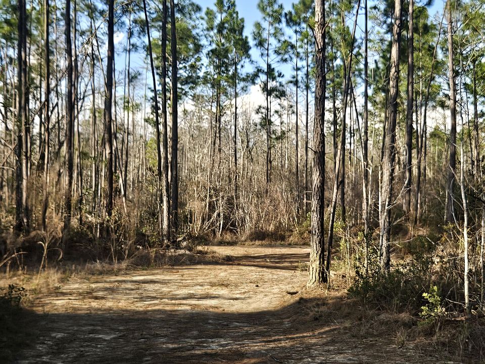 2nd image of 0 Mill Branch Club Rd Lot 1Q