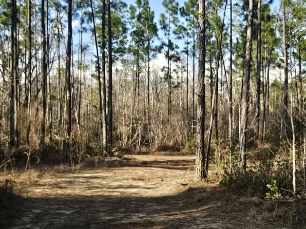 0 Mill Branch Club Rd Lot 1M, Pembroke, GA 31321