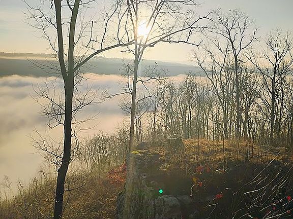 4th image of 3682 Lute Mountain Rd #B