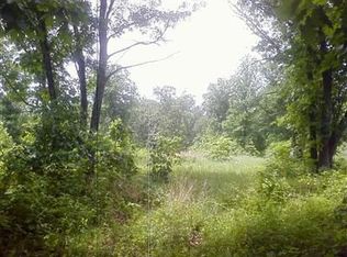 311 Cap Hill Ranch Rd, Ozark, MO 65721