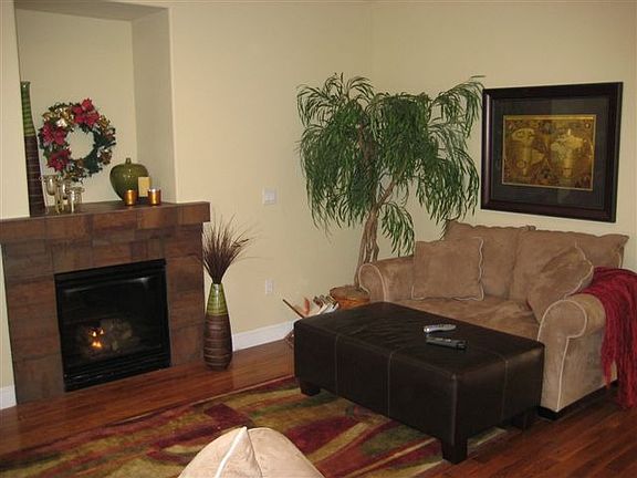 Living room propane fireplace