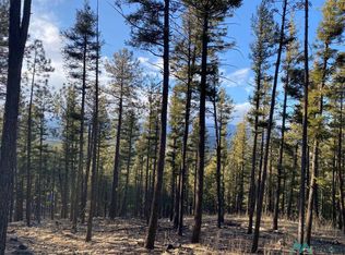 32 Timberline Rd, Rociada, NM 87742