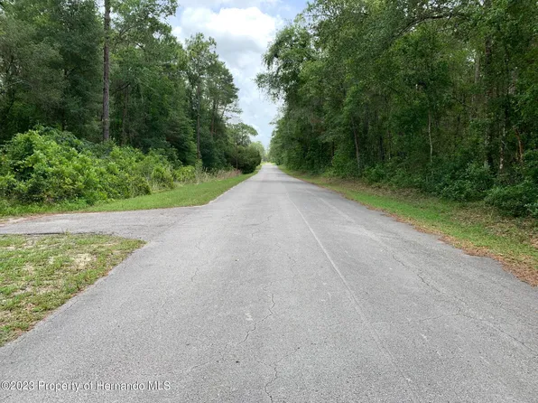 6998 E Shady Nook Ct, Floral City, FL 34436