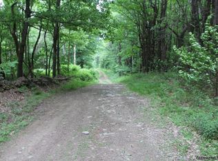 Welch Rd, Blenheim, NY 12093