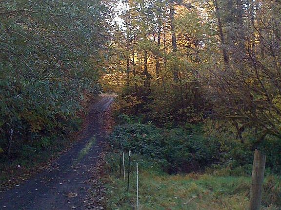 5th image of 24800 High Pass Rd