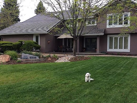 guard dog