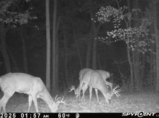 3224 Goose Cir, Sanders, KY 41083