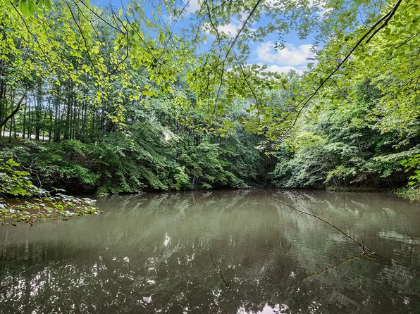 3635 Pennywinkle Branch Rd, Waverly, TN 37185