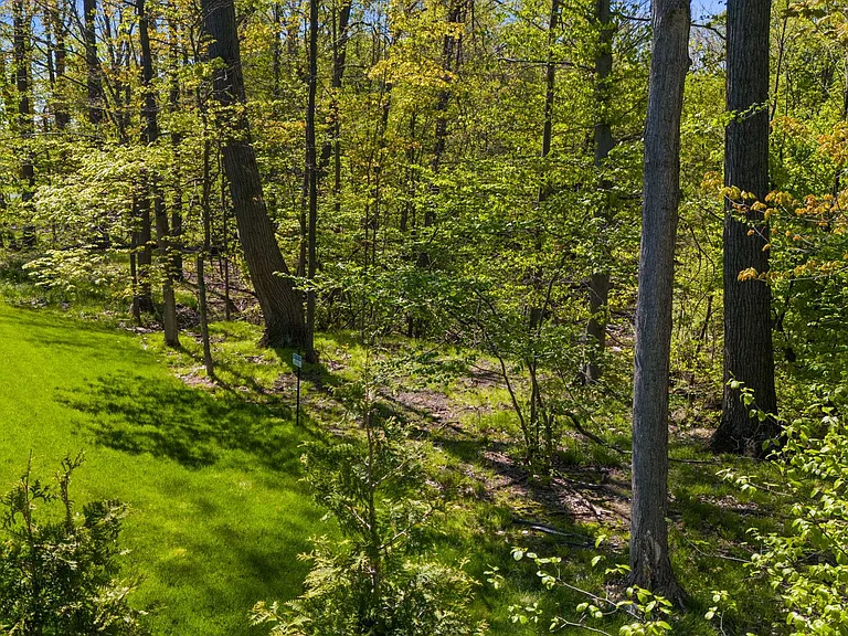 233 Lake Balaton Dr — Photo 39