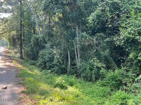 0 Rev R Powe Rd, Wiggins, MS 39577