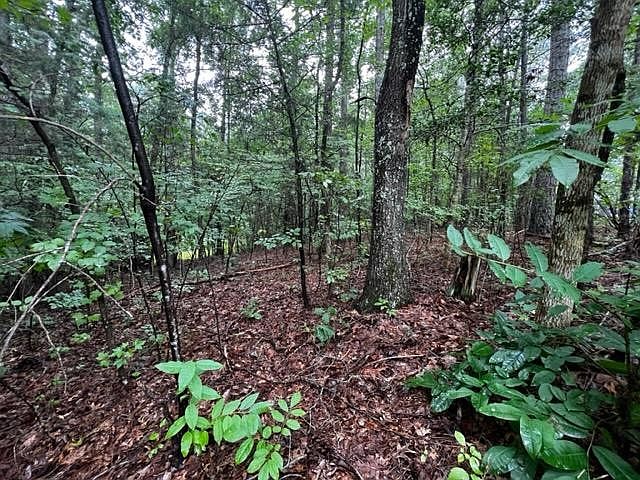 2nd image of 4026 Pine Tree Hollow Rd #17
